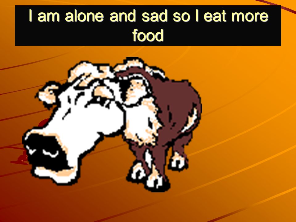 I am alone and sad so I eat more food