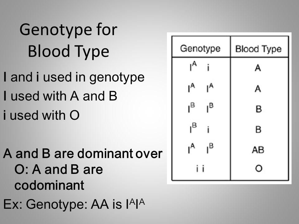 Genotype for Blood Type