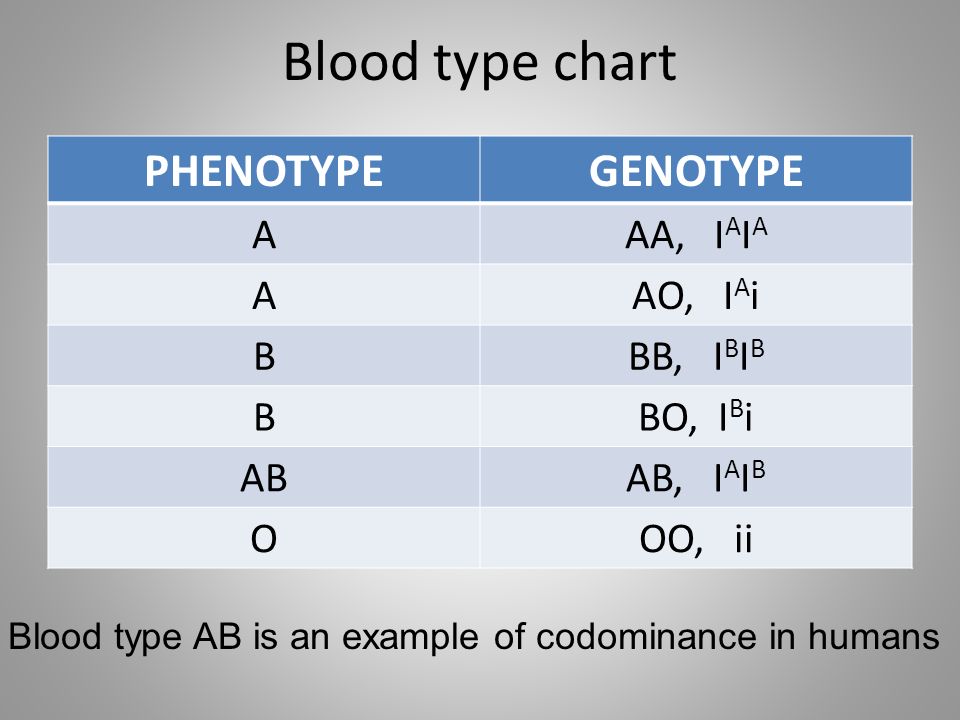 Blood type chart PHENOTYPE GENOTYPE A AA, IAIA AO, IAi B BB, IBIB