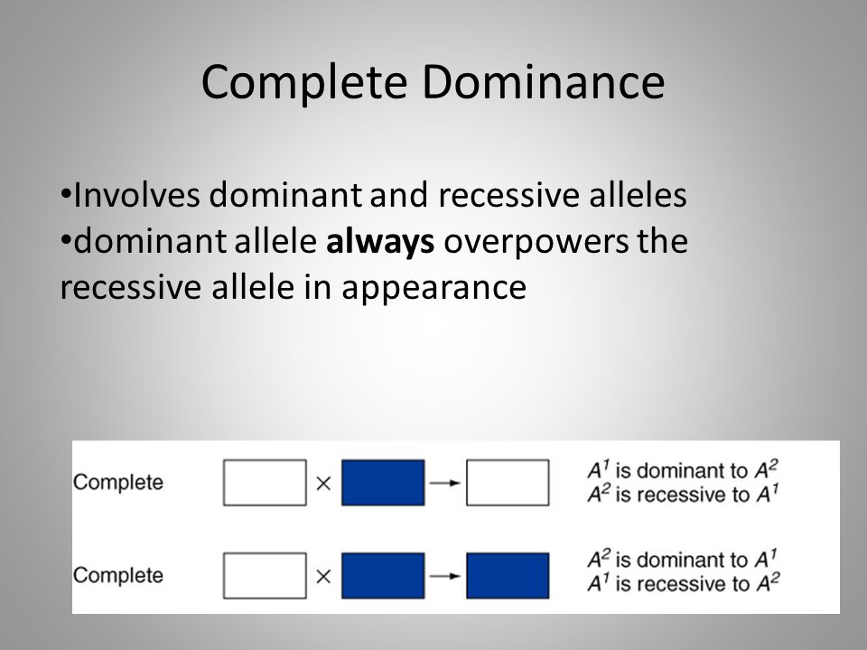 Complete Dominance Involves dominant and recessive alleles