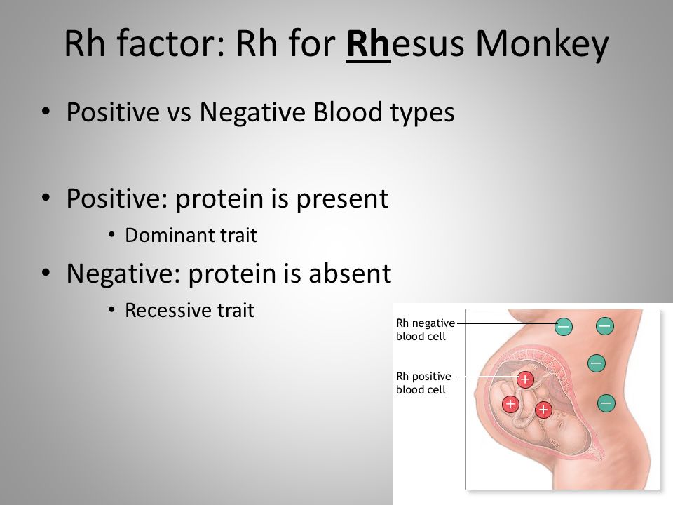 Rh factor: Rh for Rhesus Monkey