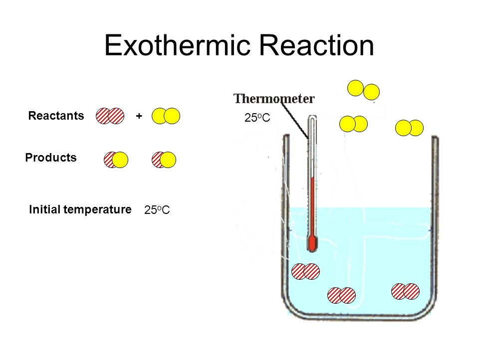 Exothermic Exo 2020