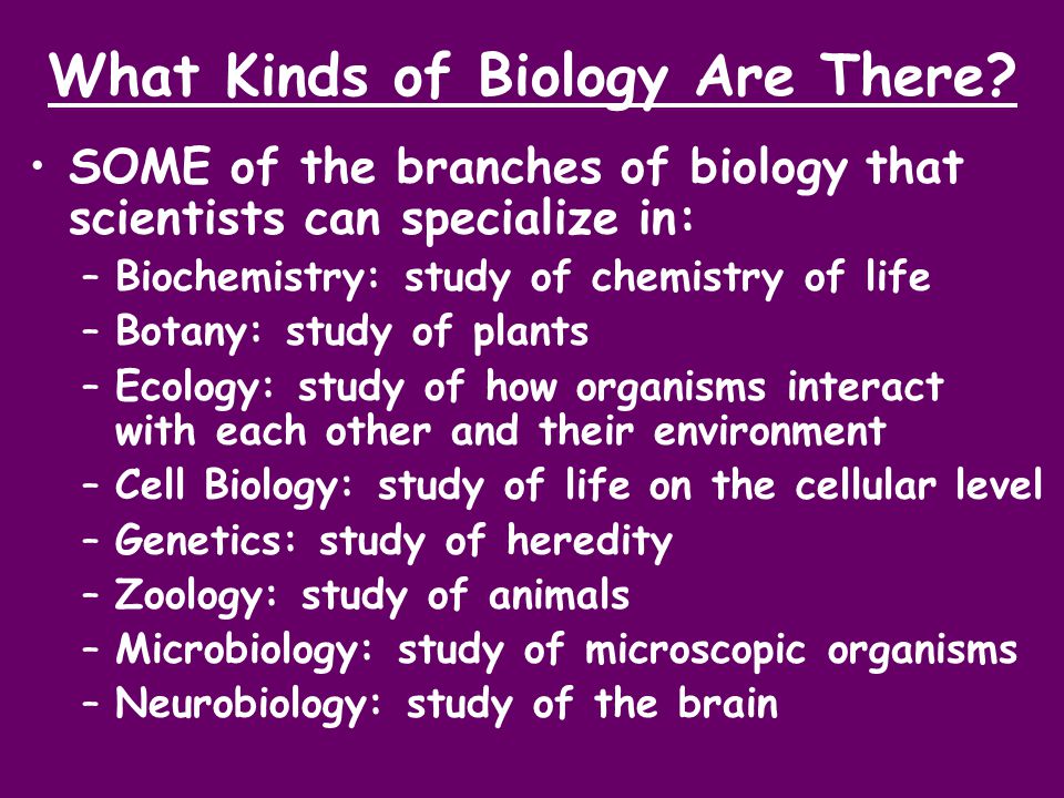 What Kinds of Biology Are There.