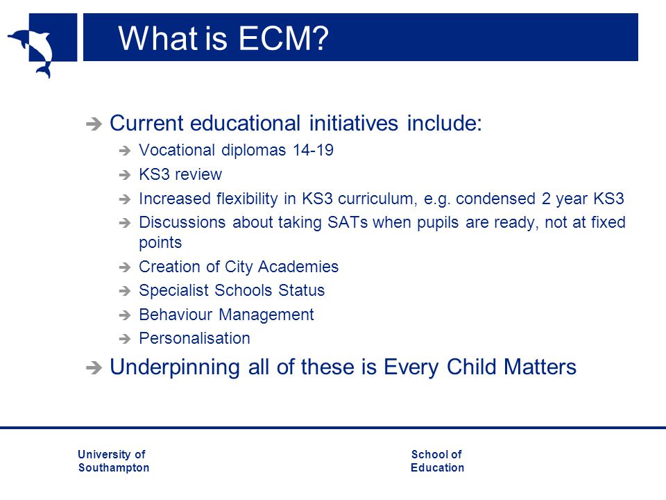 What is ECM Current educational initiatives include: