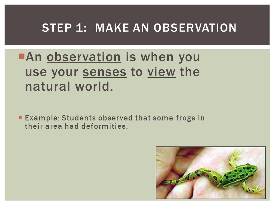 Step 1: Make an Observation