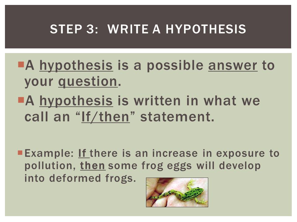 Step 3: Write a Hypothesis