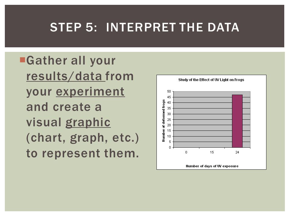 Step 5: Interpret the data