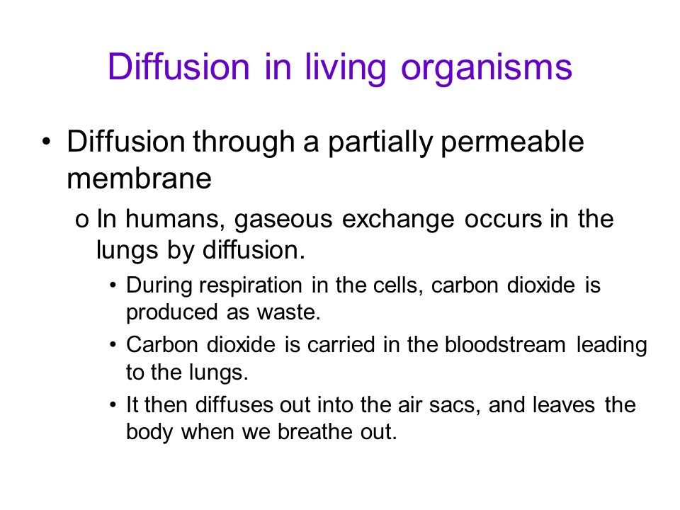 diffusion in living organisms