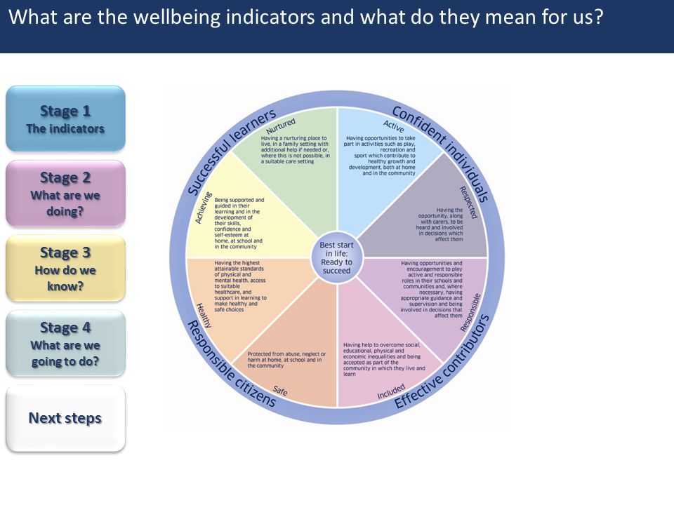 What are the wellbeing indicators and what do they mean for us