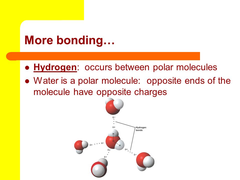 More bonding… Hydrogen: occurs between polar molecules