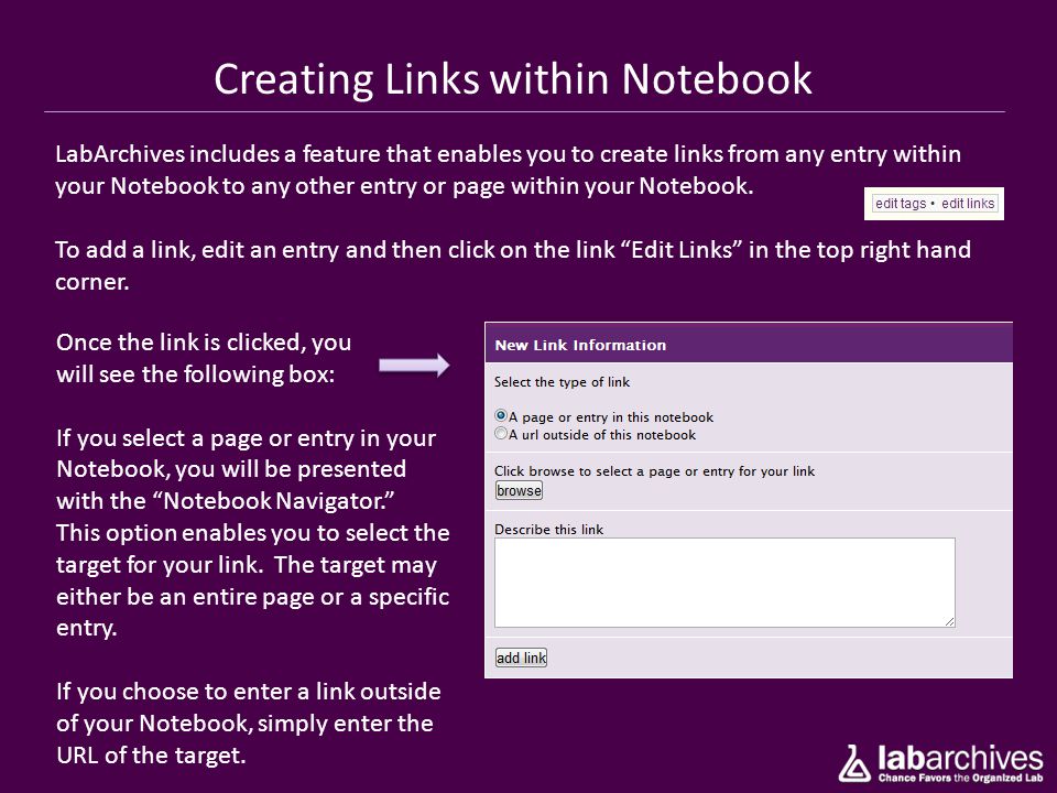Creating Links within Notebook