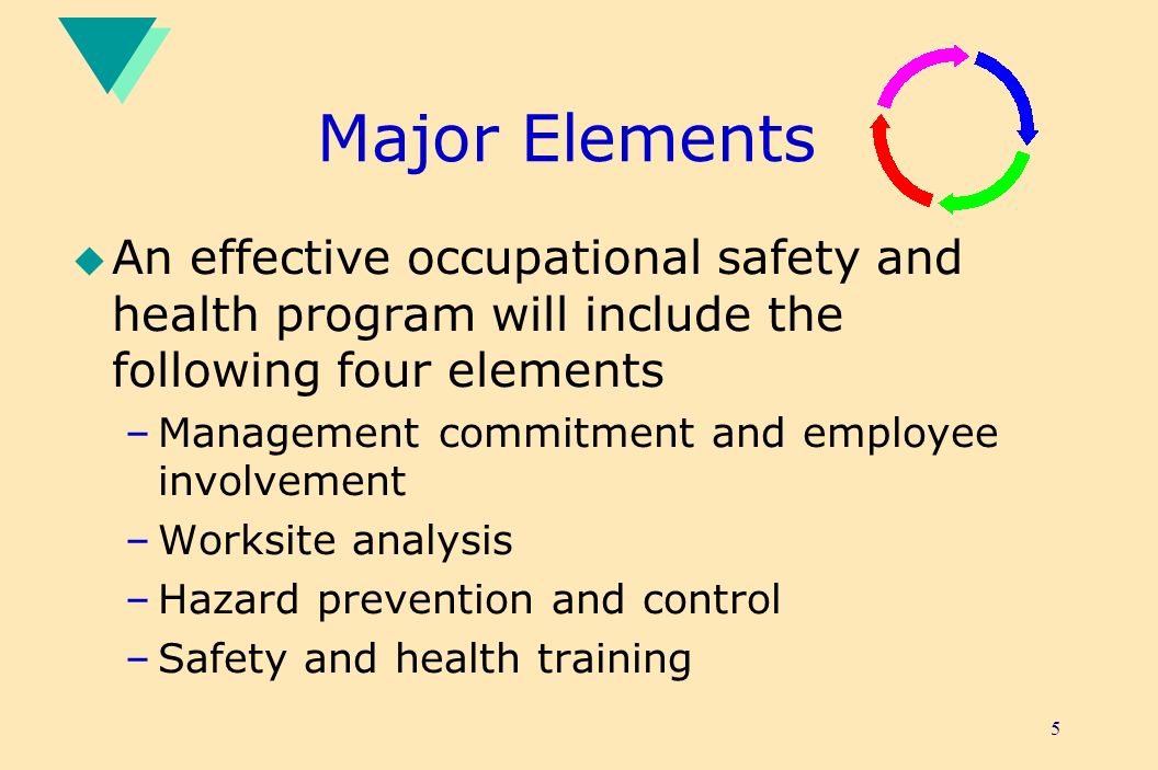 Major Elements An effective occupational safety and health program will include the following four elements.