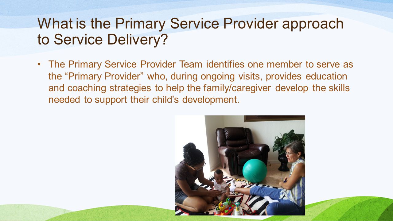 What is the Primary Service Provider approach to Service Delivery
