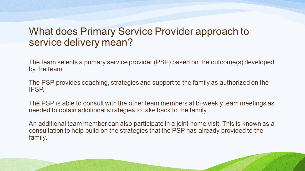 What does Primary Service Provider approach to service delivery mean