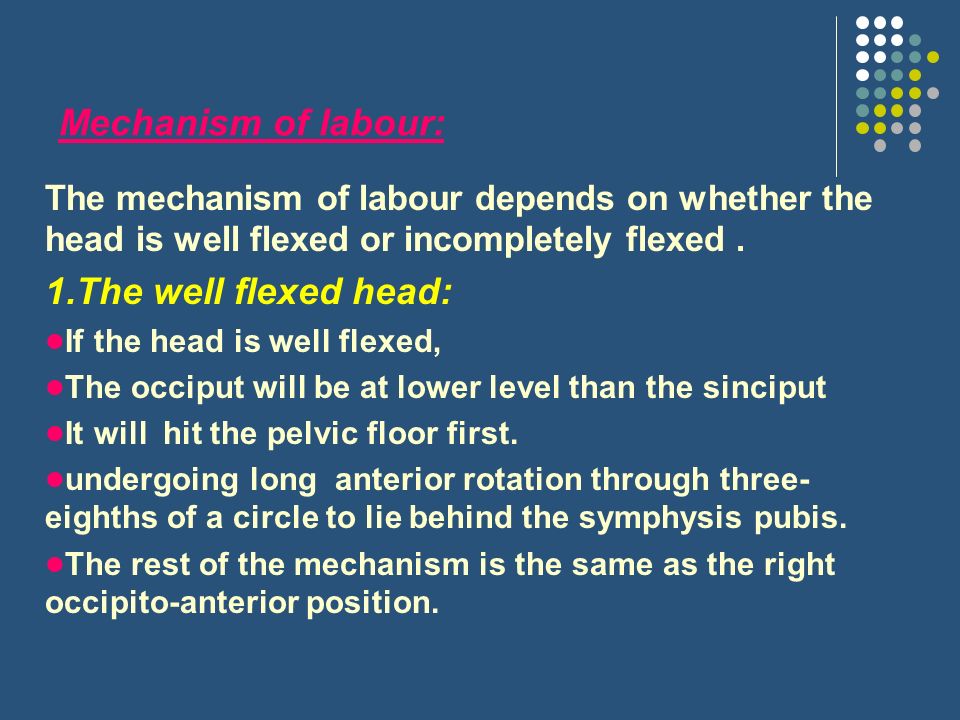 Mechanism of labour: 1.The well flexed head: