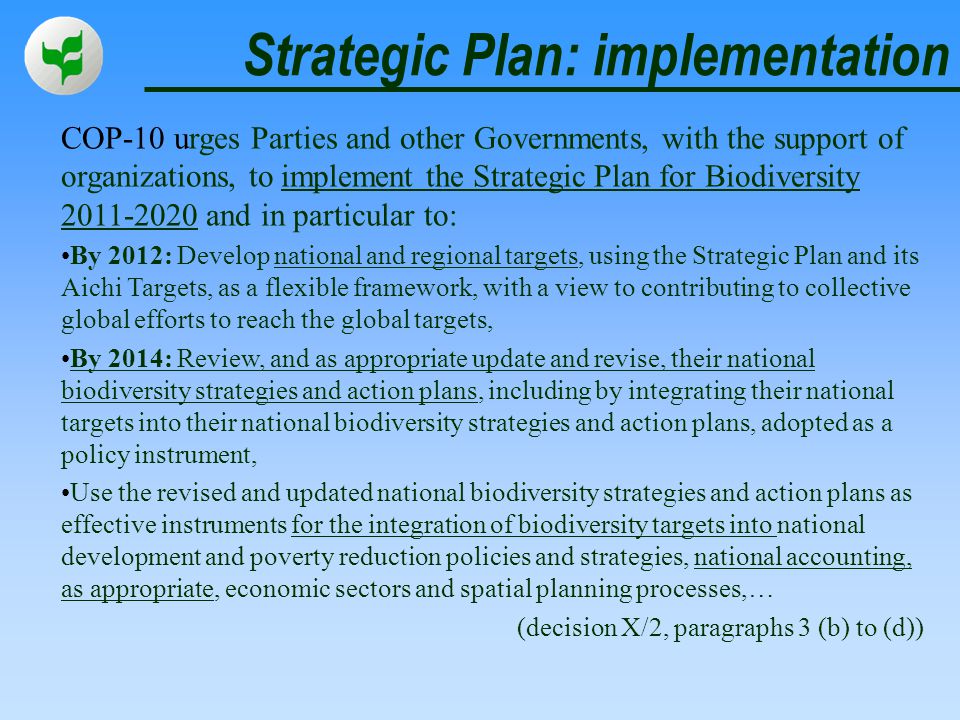 Strategic Plan: implementation