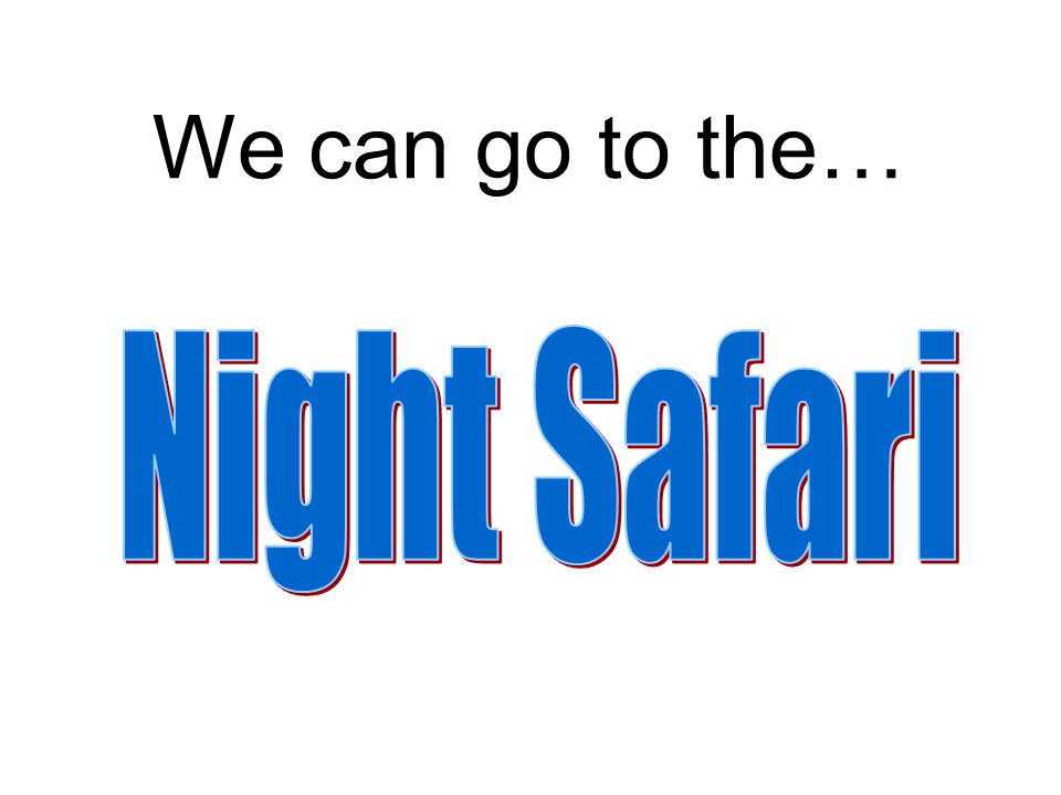 We can go to the… Night Safari