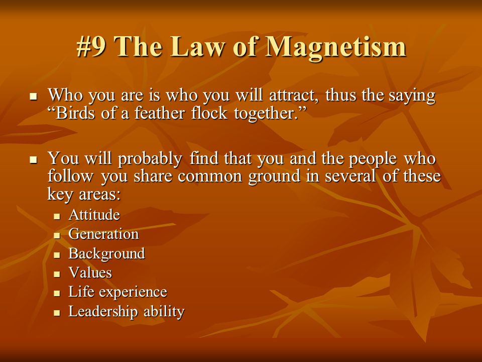 #9 The Law of Magnetism Who you are is who you will attract, thus the saying Birds of a feather flock together.