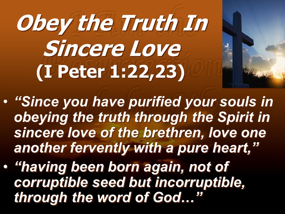 Obey the Truth In Sincere Love (I Peter 1:22,23)