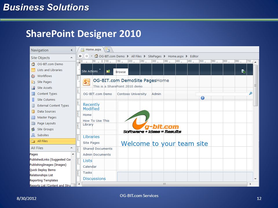 SharePoint Designer 2010 Business Solutions head OG-BIT.com Services
