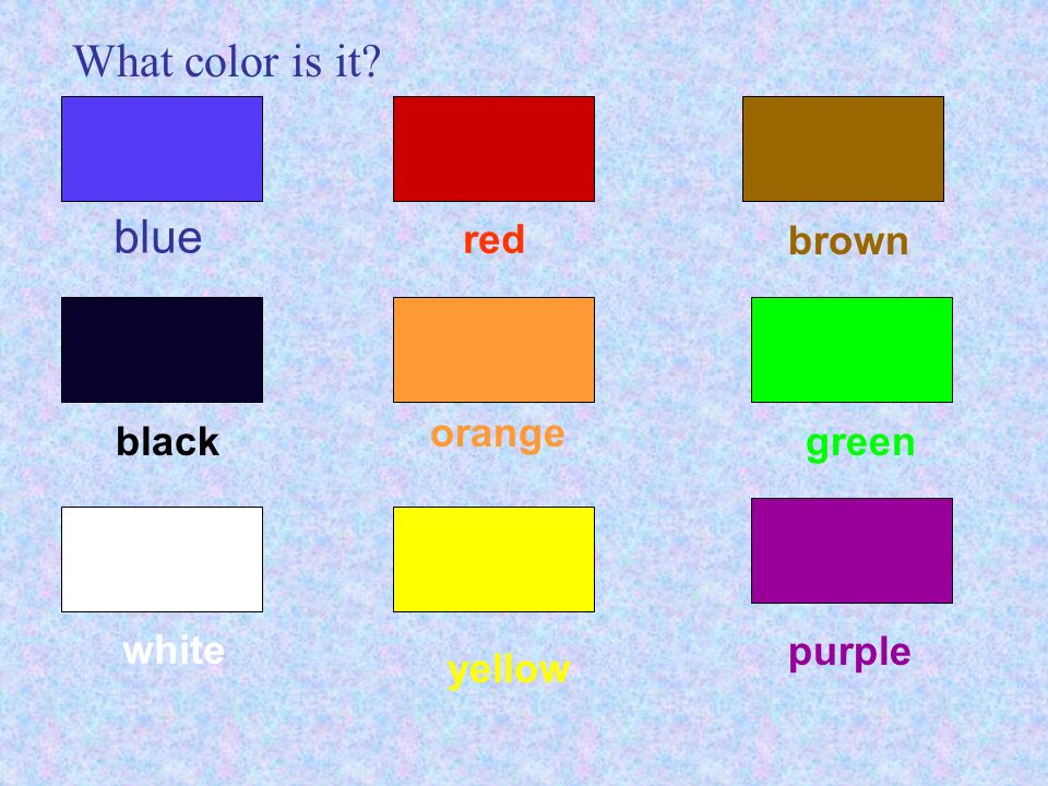 Presentation on theme: "Starter Unit 3 What color is it? 
