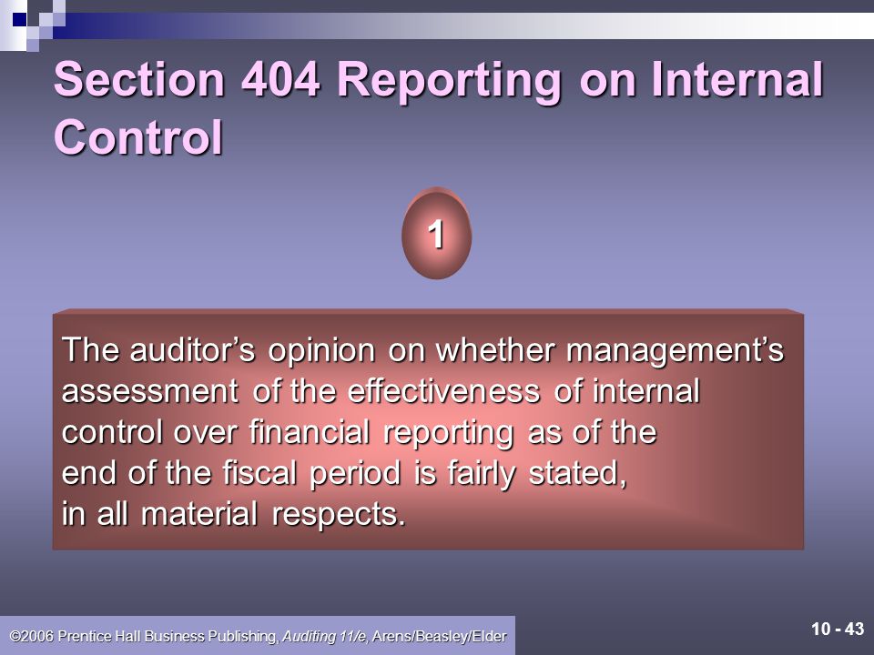 Section 404 Reporting on Internal Control