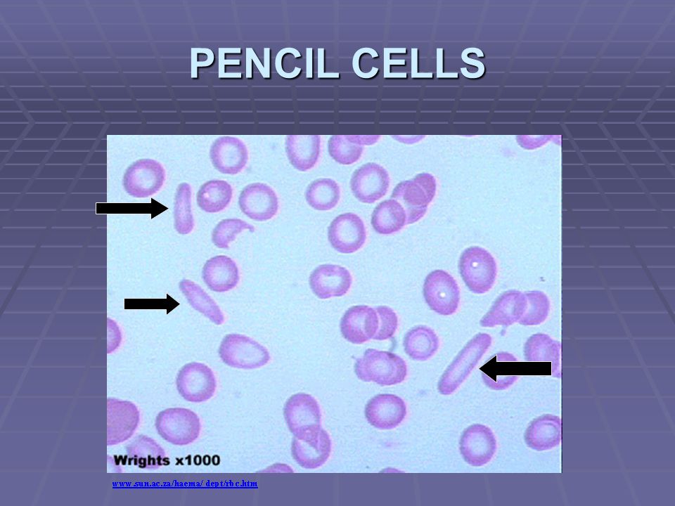 CORE AREA 4 HAEMATOLOGY GROUP C - ppt video online download