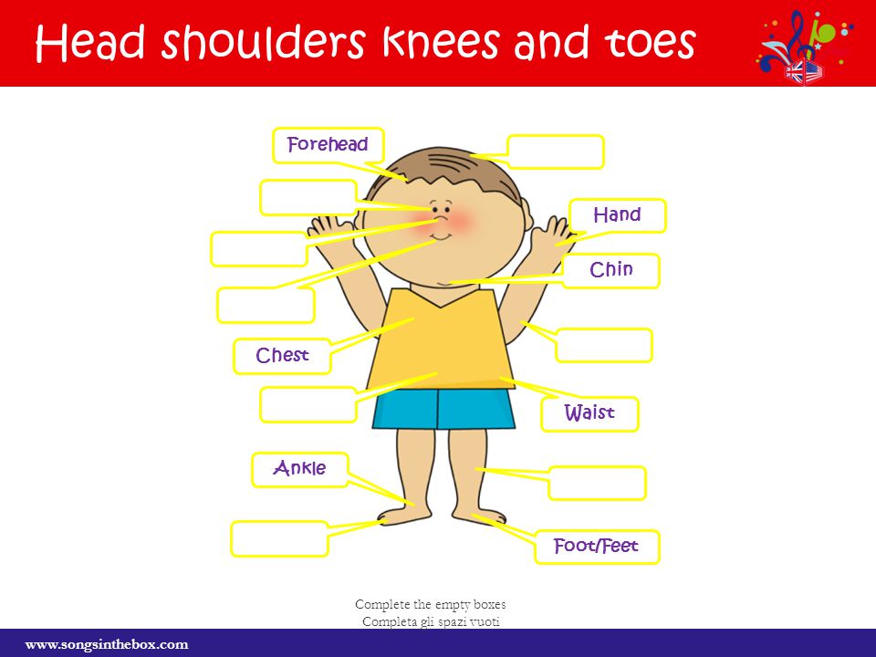 Toes транскрипция. Head Shoulders Knees and Toes. Песенка head Shoulders Knees and Toes. Head Shoulders Knees and Toes задания. Зарядка head Shoulders Knees and Toes.