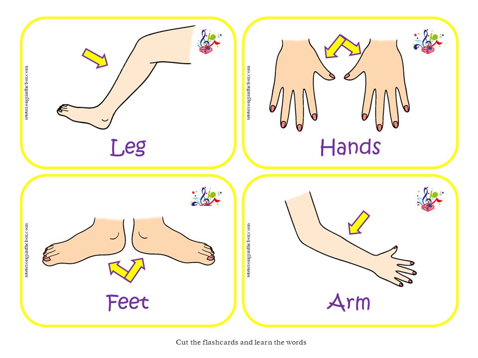 Toes произношение. Части тела feet. Leg foot разница в английском. Leg части тела. Карточки с изображением рук.