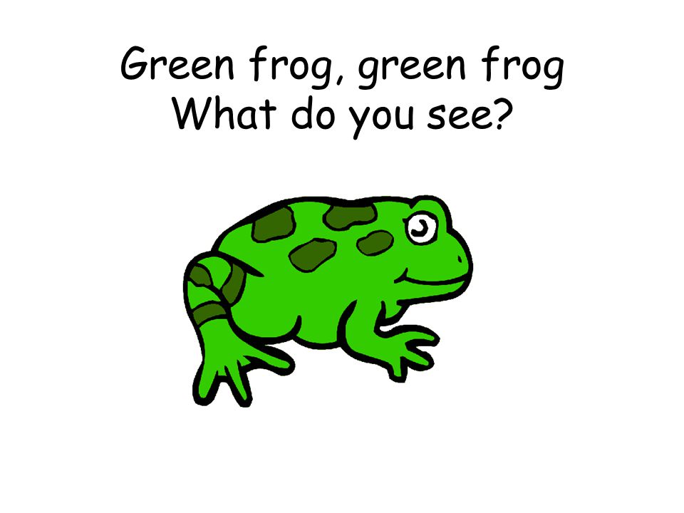 Green frog, green frog What do you see