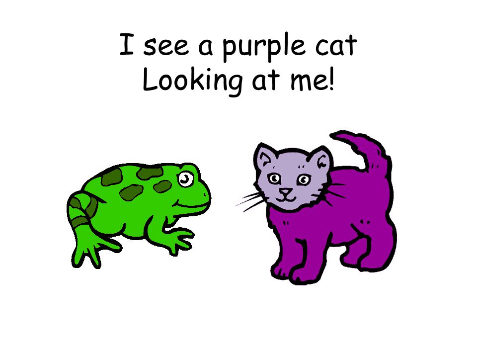 I see a purple cat Looking at me!