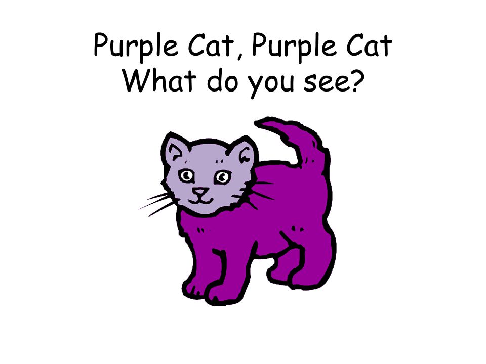Purple Cat, Purple Cat What do you see