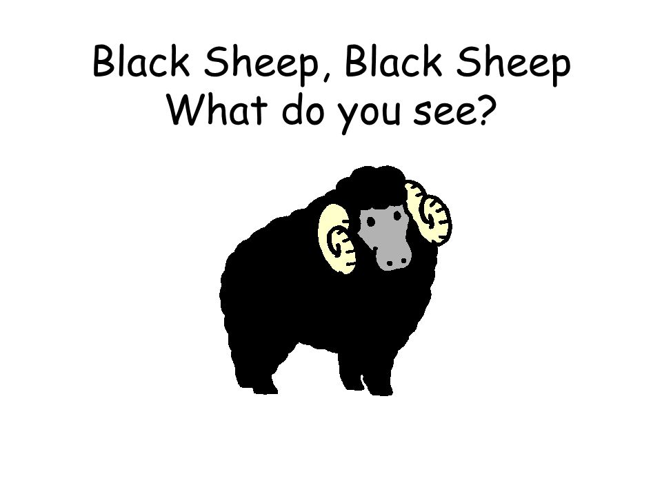 Black Sheep, Black Sheep What do you see