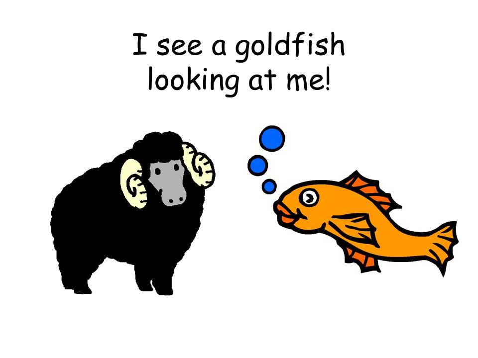 I see a goldfish looking at me!