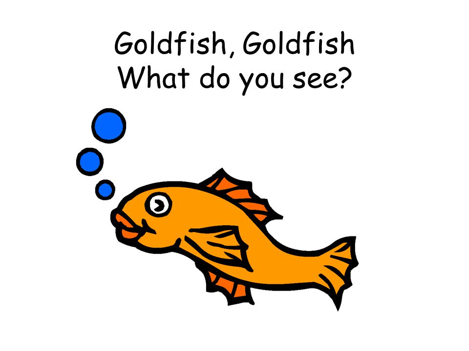 Goldfish, Goldfish What do you see