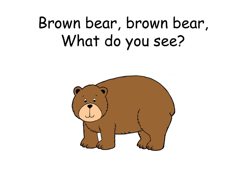Brown bear, brown bear, What do you see