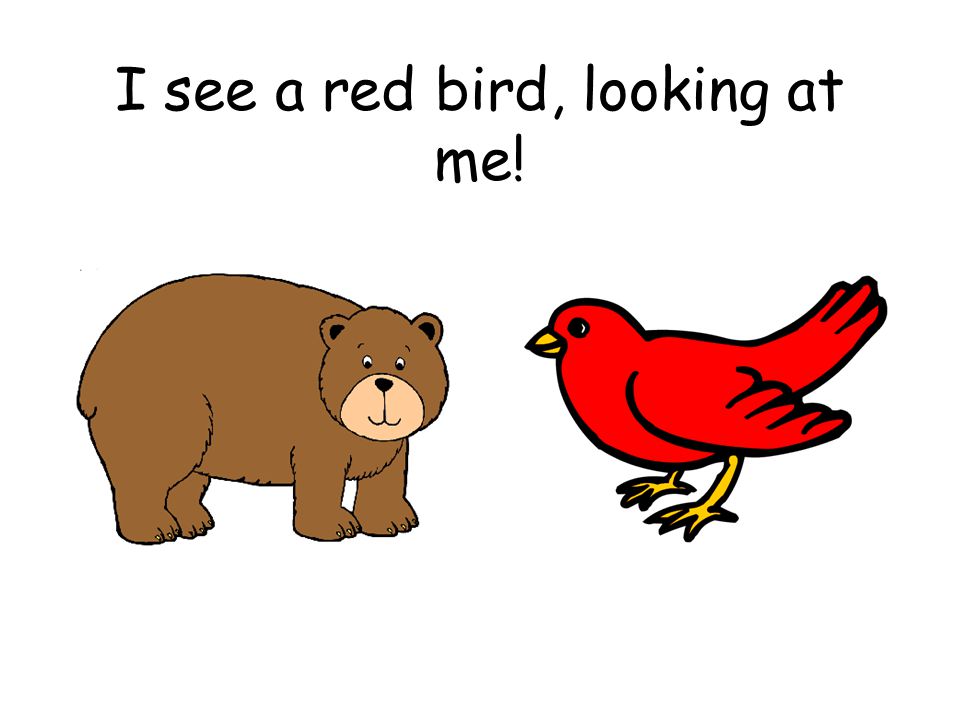 I see a red bird, looking at me!