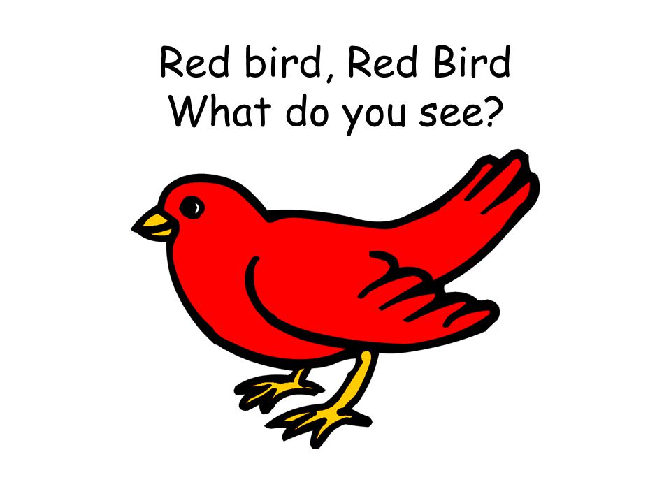 Red bird, Red Bird What do you see