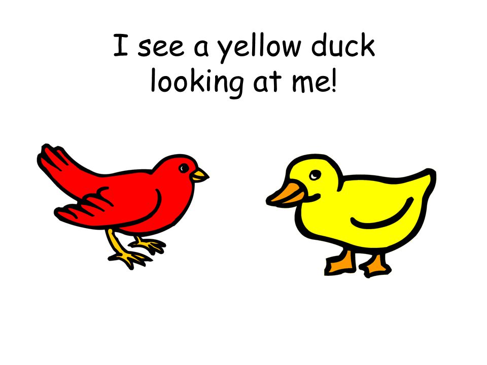 I see a yellow duck looking at me!