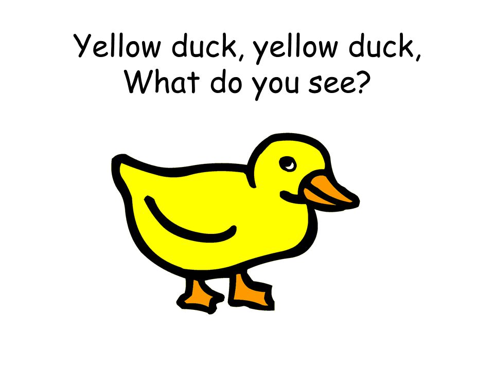 Yellow duck, yellow duck, What do you see