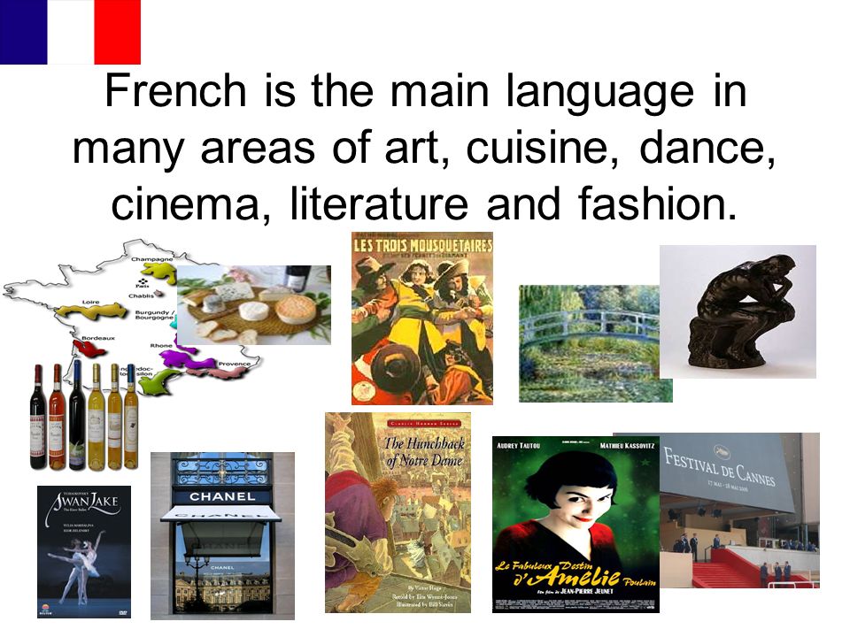 French is the main language in many areas of art, cuisine, dance, cinema, literature and fashion.