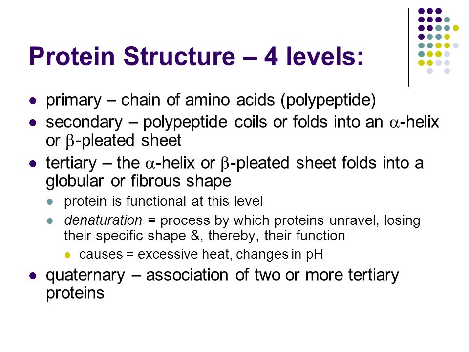 Protein Structure – 4 levels: