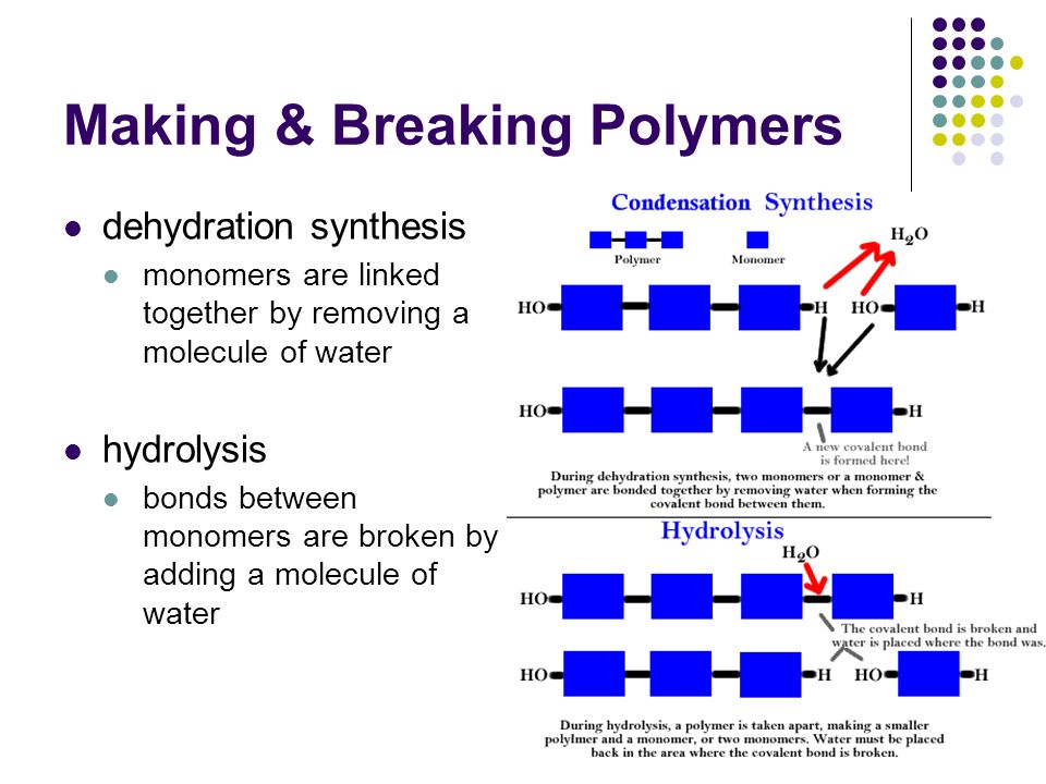 Making & Breaking Polymers