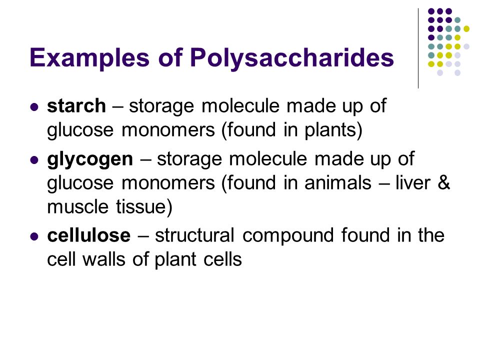 Examples of Polysaccharides