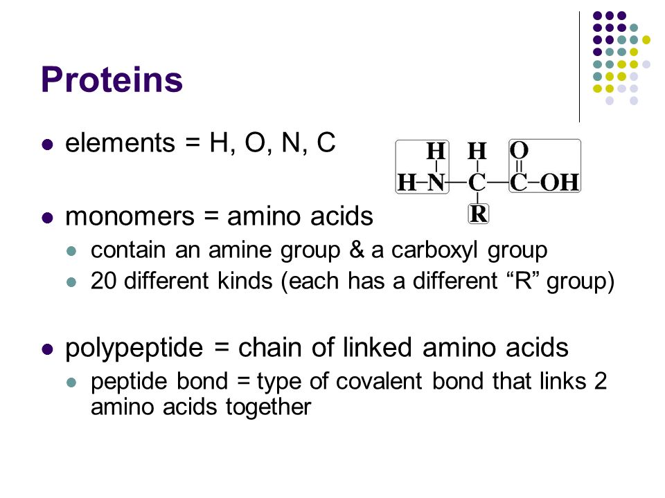Proteins elements = H, O, N, C monomers = amino acids