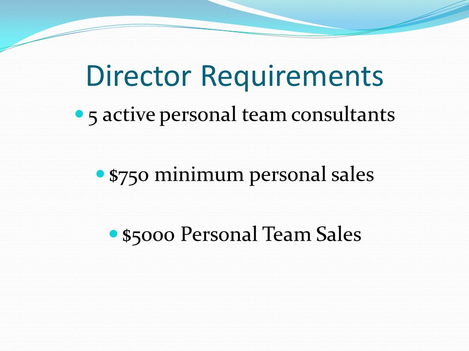 Director Requirements