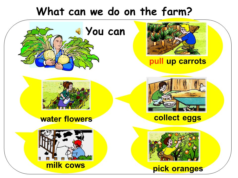 What can we do on the farm