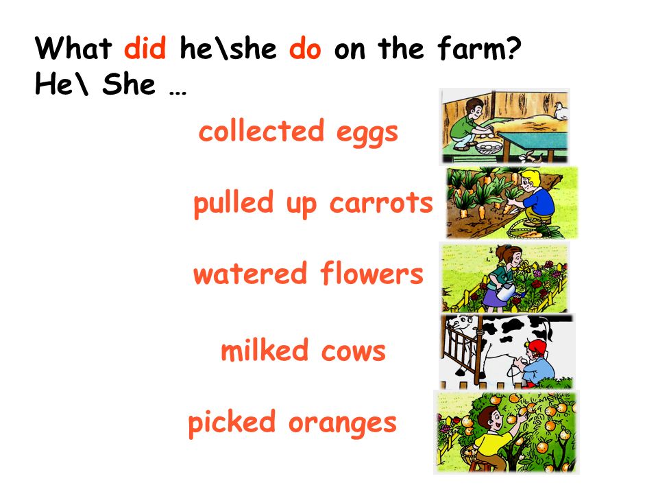 What did he\she do on the farm