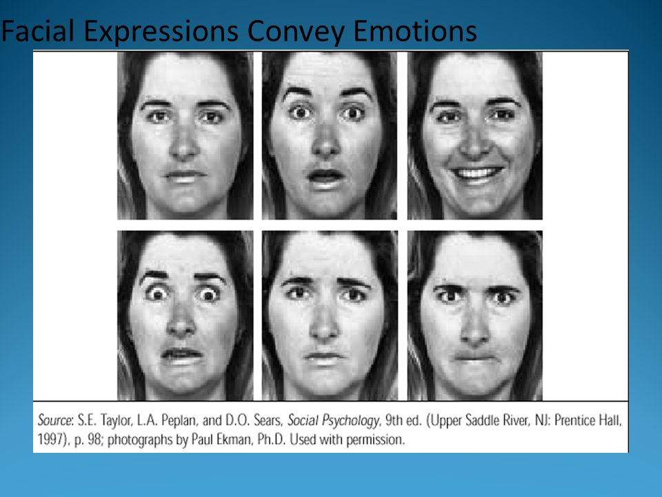 Facial Expressions Convey Emotions