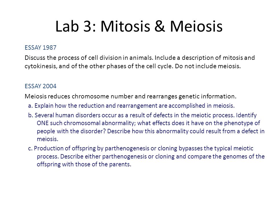 essay about mitosis and meiosis